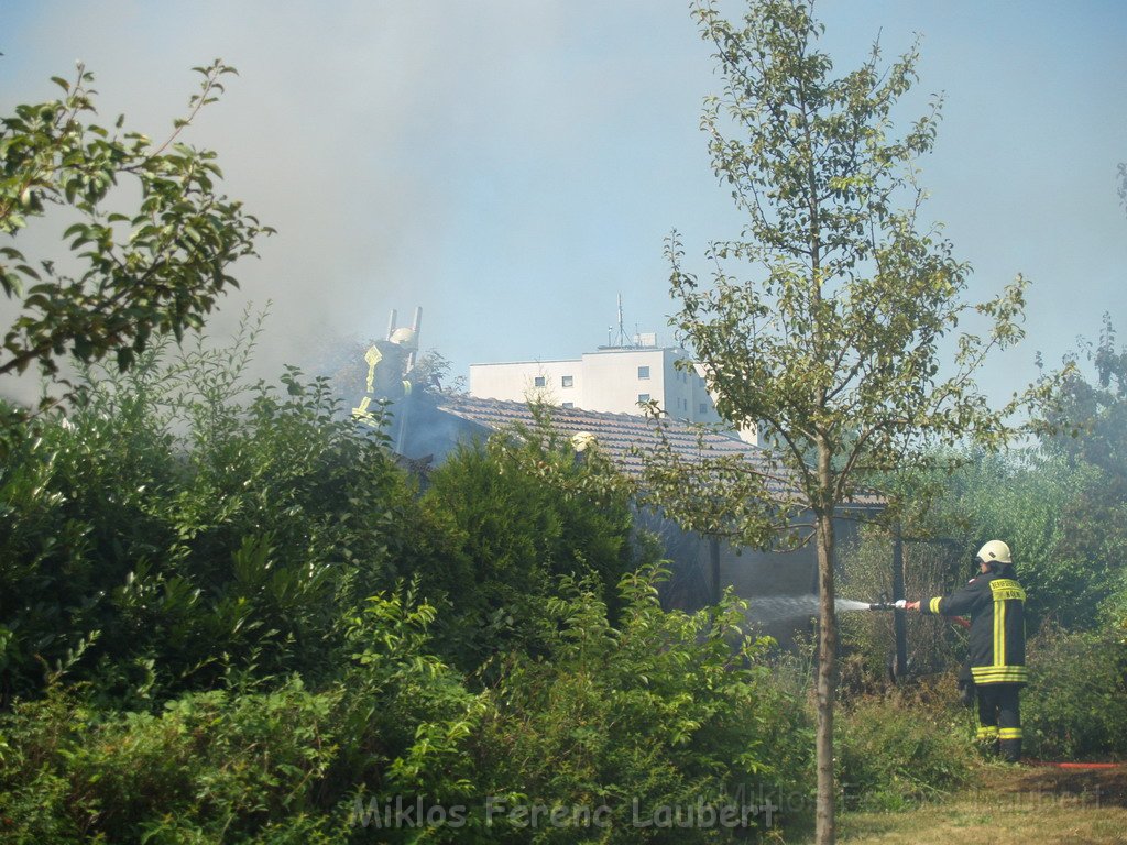 Gartenlaube in Vollbrand Koeln Poll Im Gremberger Waeldchen P102.JPG